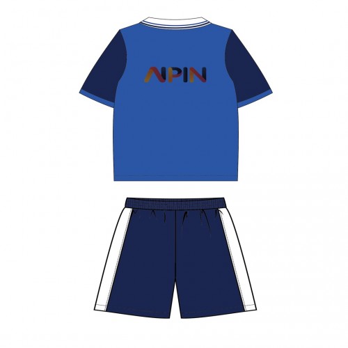 Dream Back to the Court